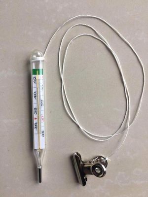 FN-W Customized  Clinical Mercury Free Digital Thermometer in Yellow/blue