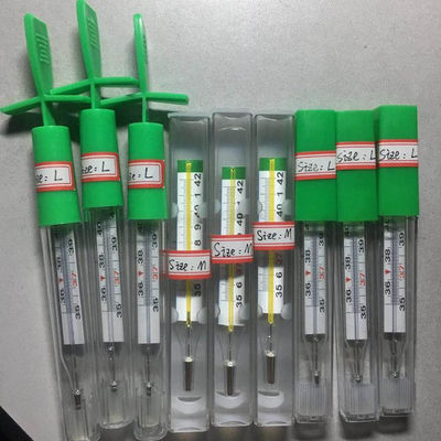 High Accuracy Body Glass Mercury-free Oral Thermometer Other Customized Help Offered